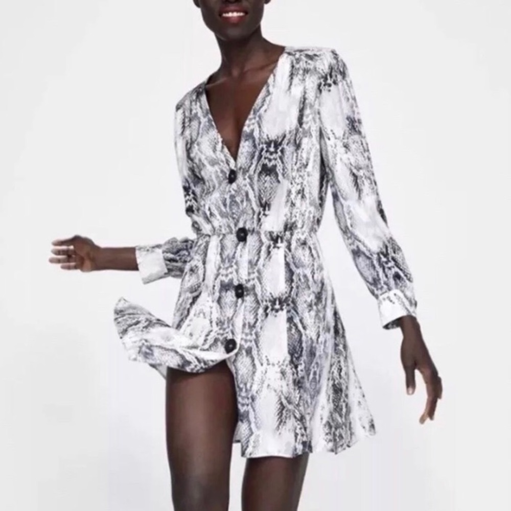 Zara Animal Print Dress
